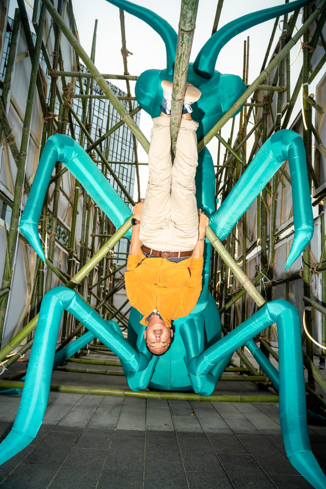 FENG Li, My praying mantis, 2020