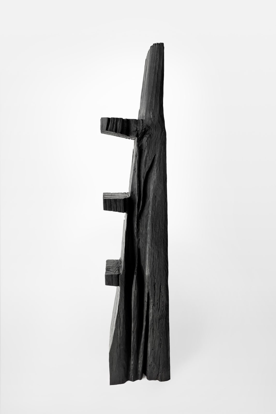 Patrick Kim-Gustafson, Ladder Shelf, 2024