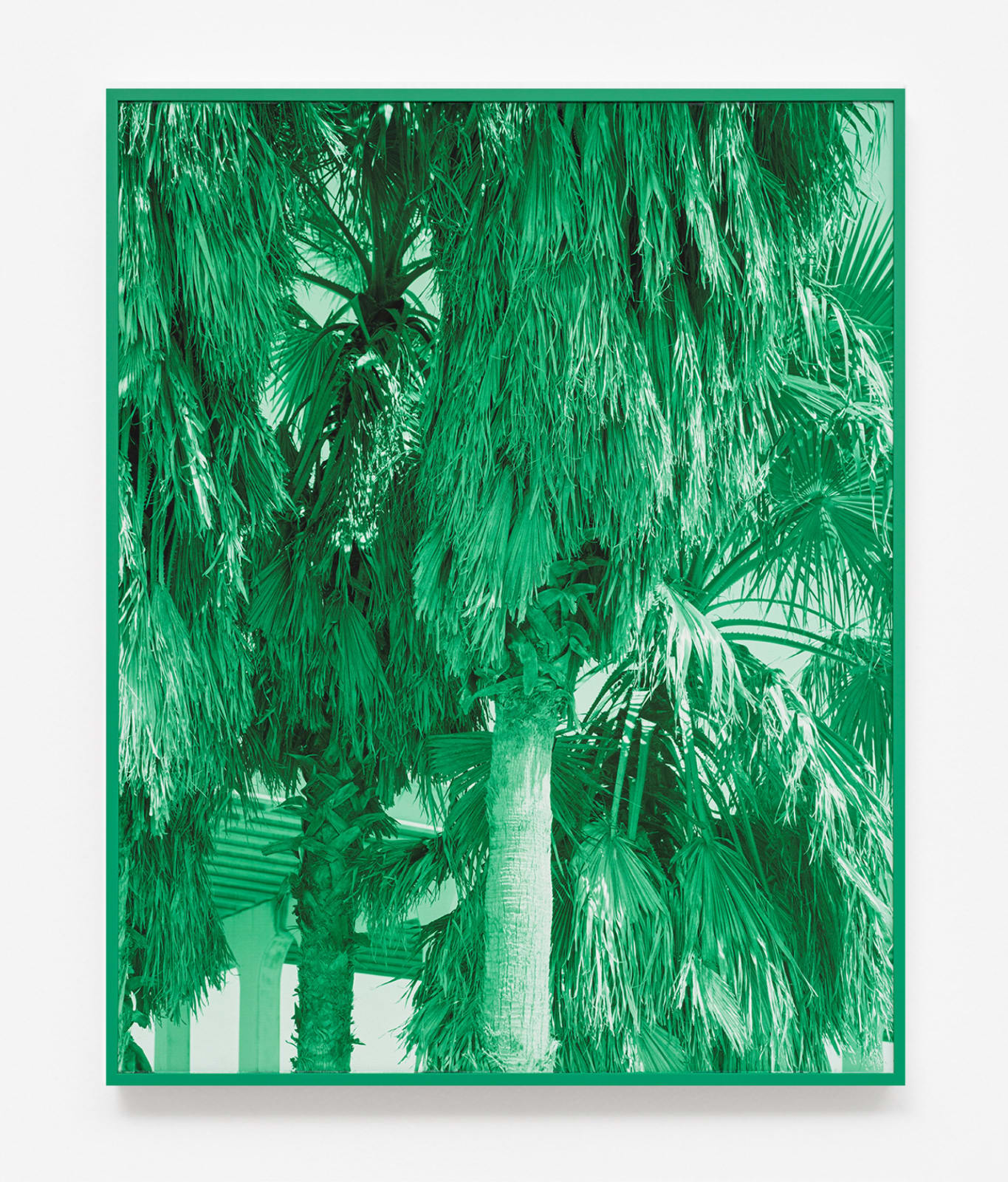 Thomas Block Humery, Highway and Trees in Pascagoula, 2023