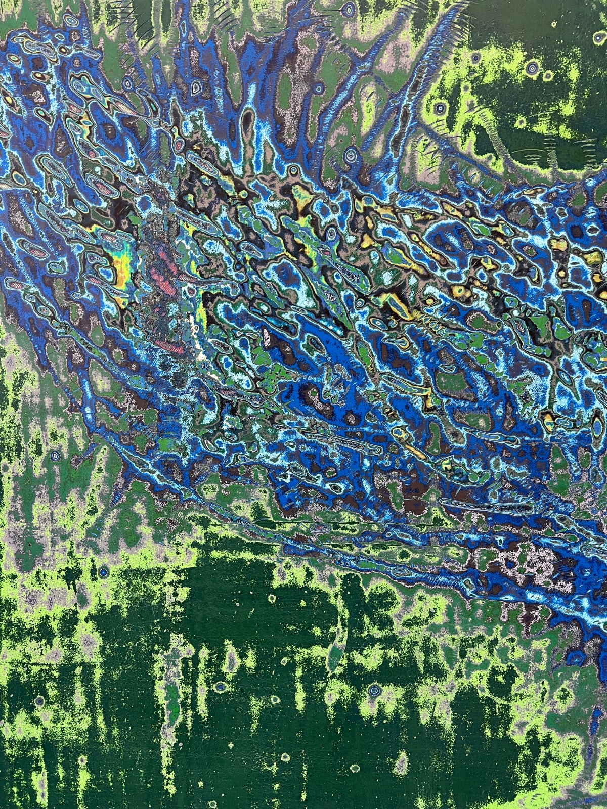 Dennis Miranda Zamorano, Cómo una criatura marina, 2024