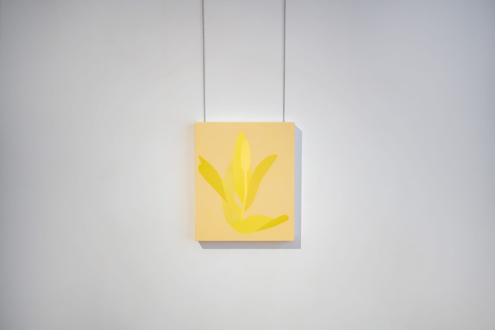 Manuel Stehli, Untitled (Tulip 2), 2023