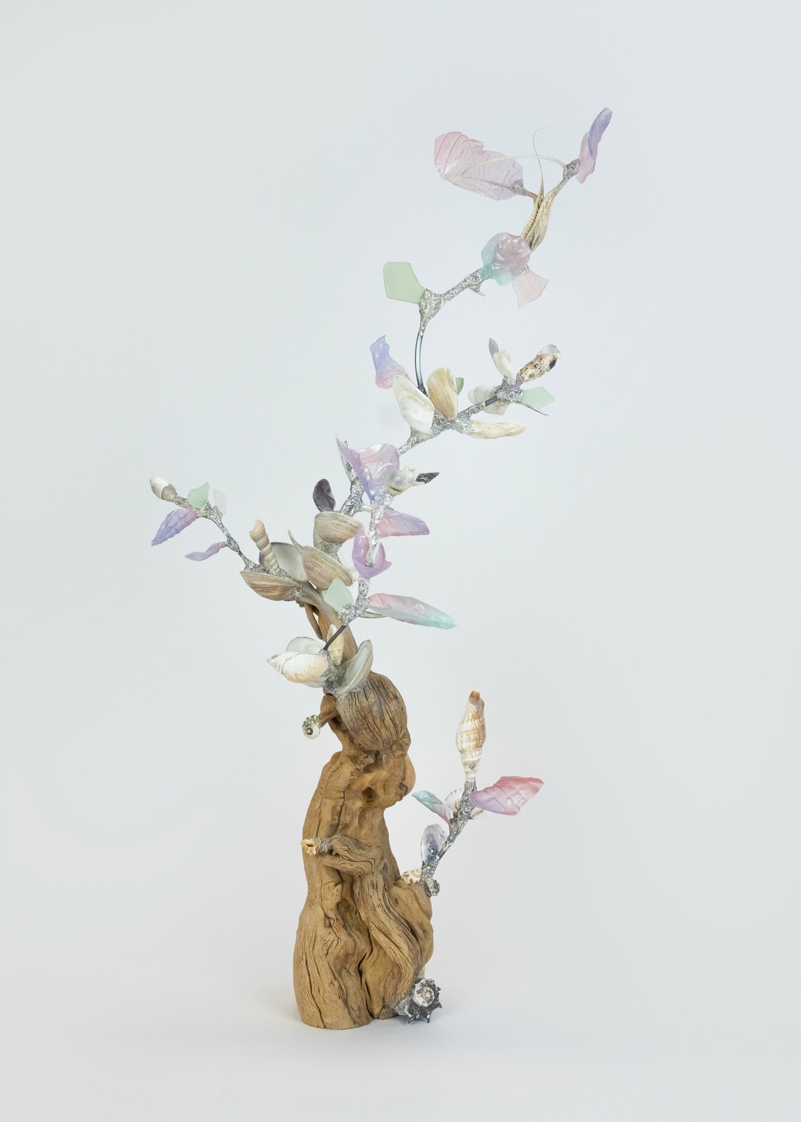 Shuyi Cao, Spiraling Words, 2025