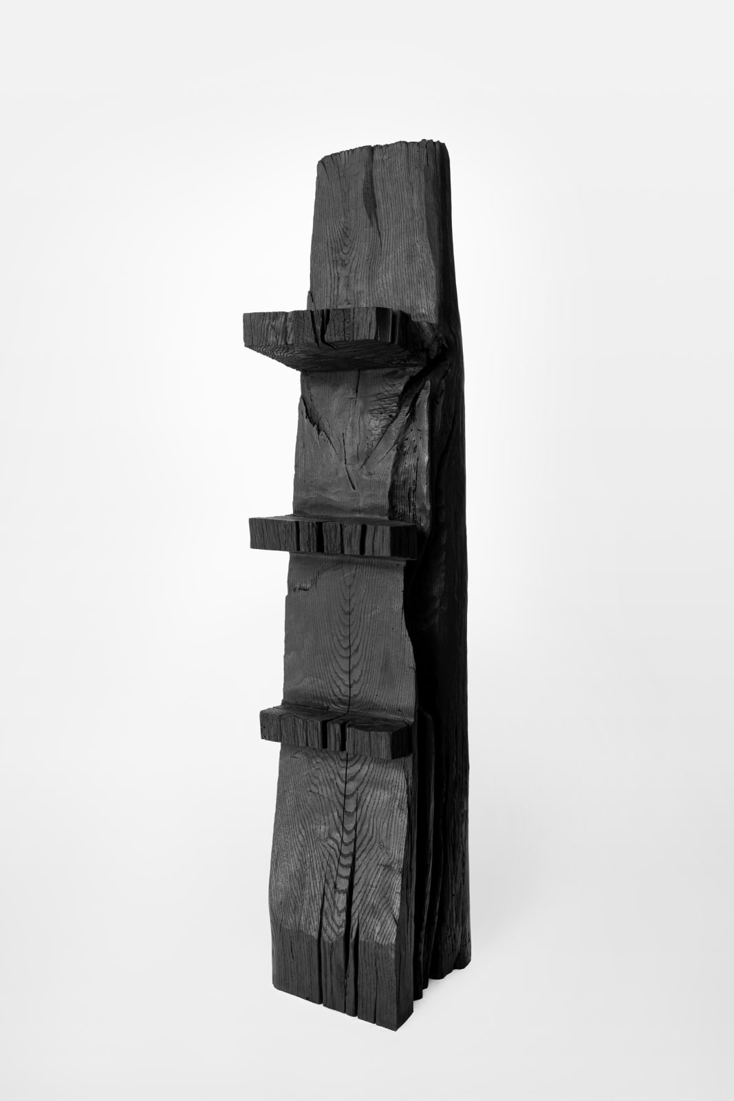 Patrick Kim-Gustafson, Ladder Shelf, 2024