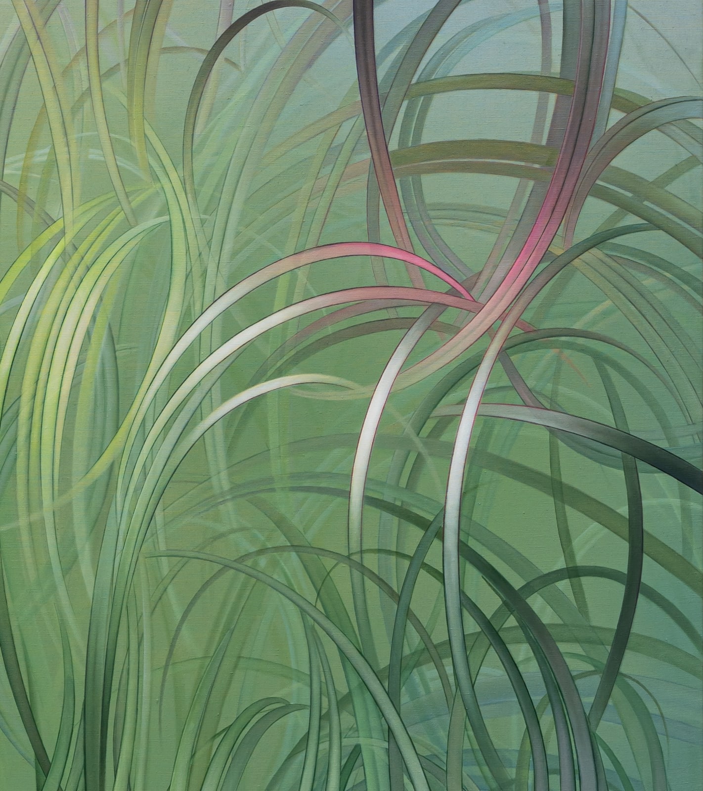 Sofia Nifora, Three nights, 2024