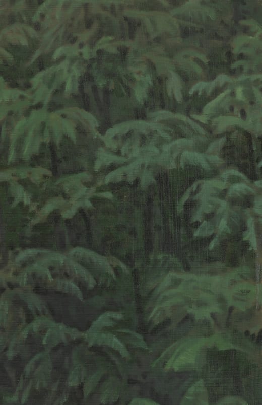 Xie Fan, Landscape · Alsophila Spinulosa, 2023