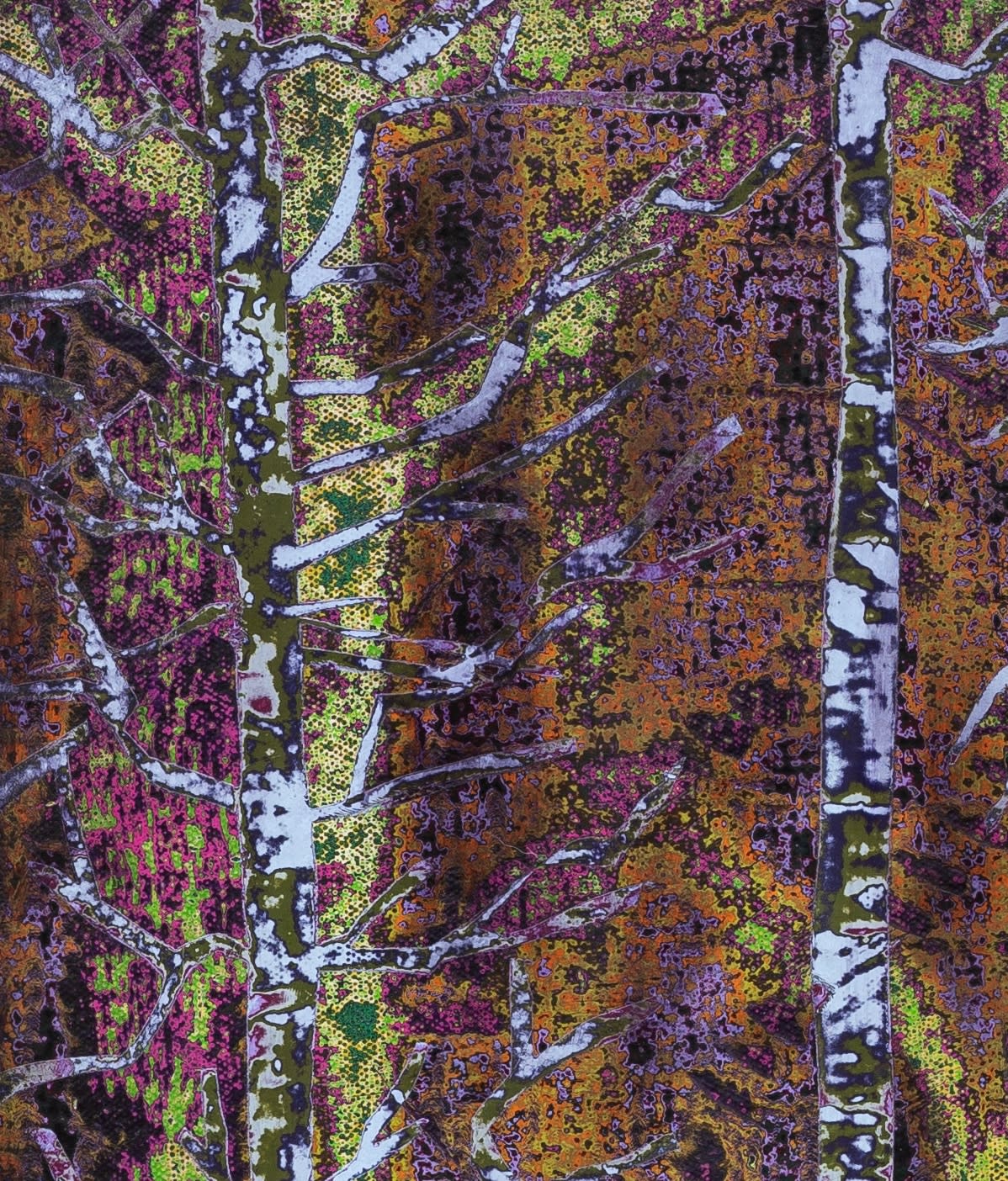 Dennis Miranda Zamorano, Trees are memory, 2023