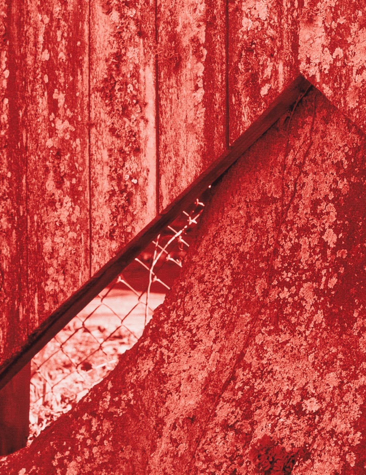 Thomas Block Humery, Fence and Truck, 2023