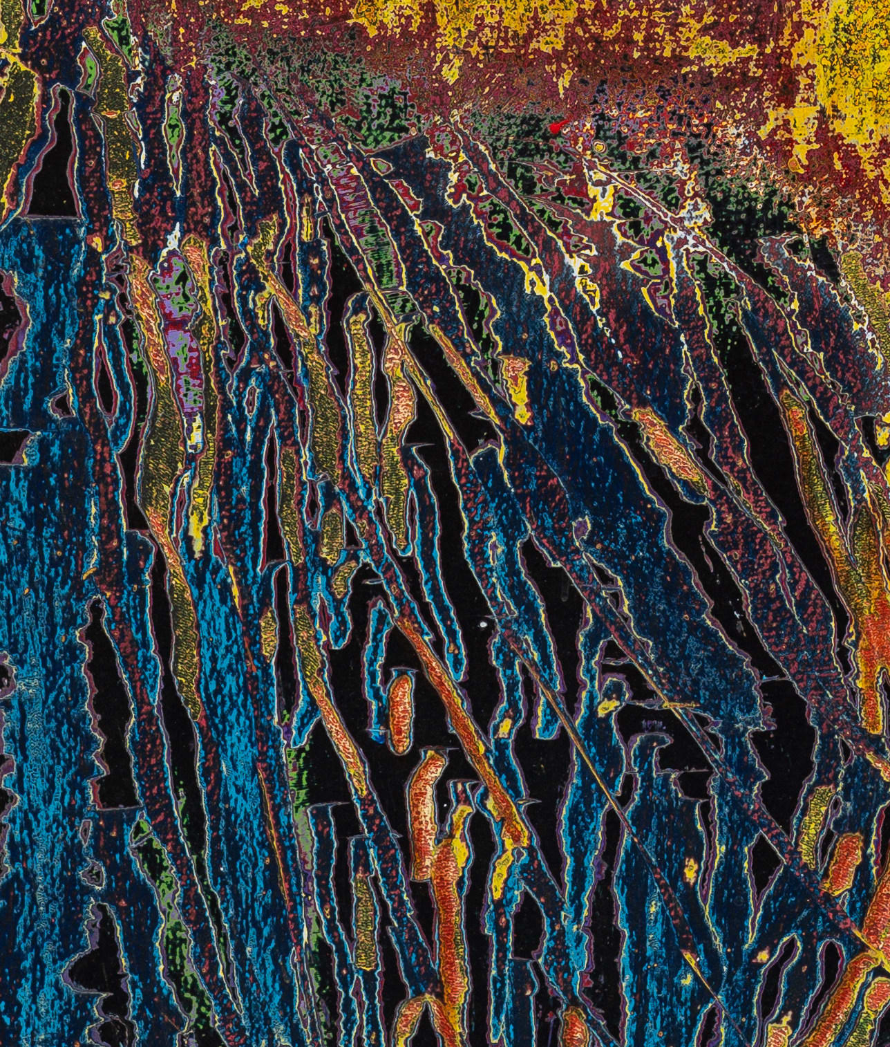 Dennis Miranda Zamorano, La flor favorita de Sony, 2023