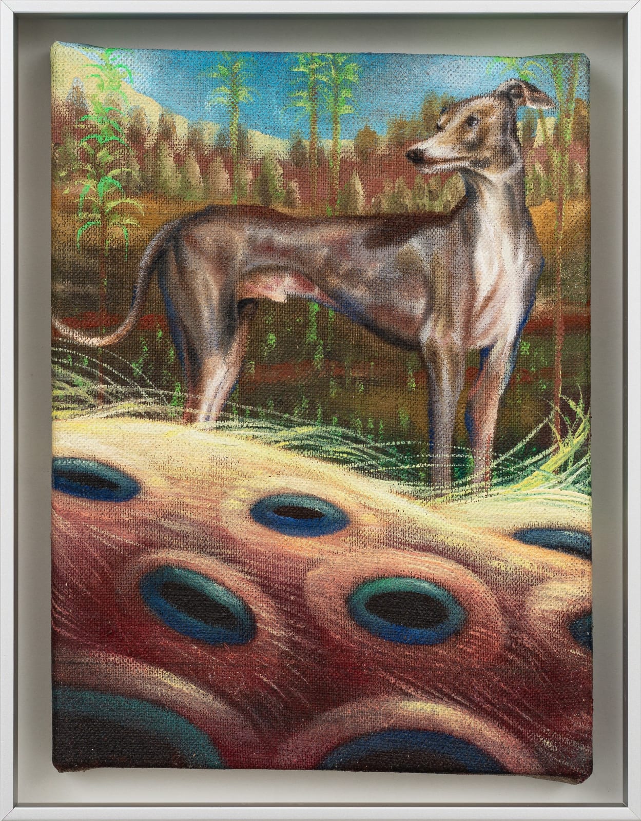 Ángela Ferrari, Las palabras que no sé extrañar, 2025