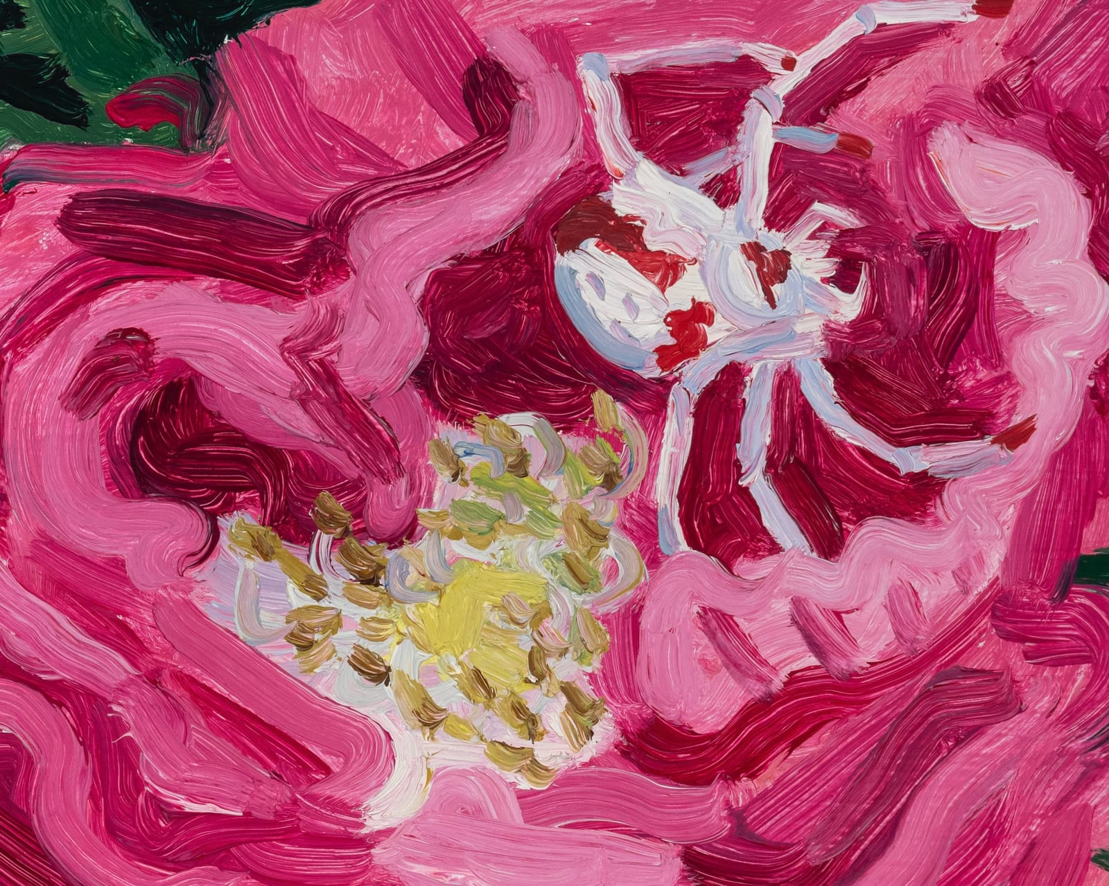 Claudia Keep, Rose With Crab Spider, 2024