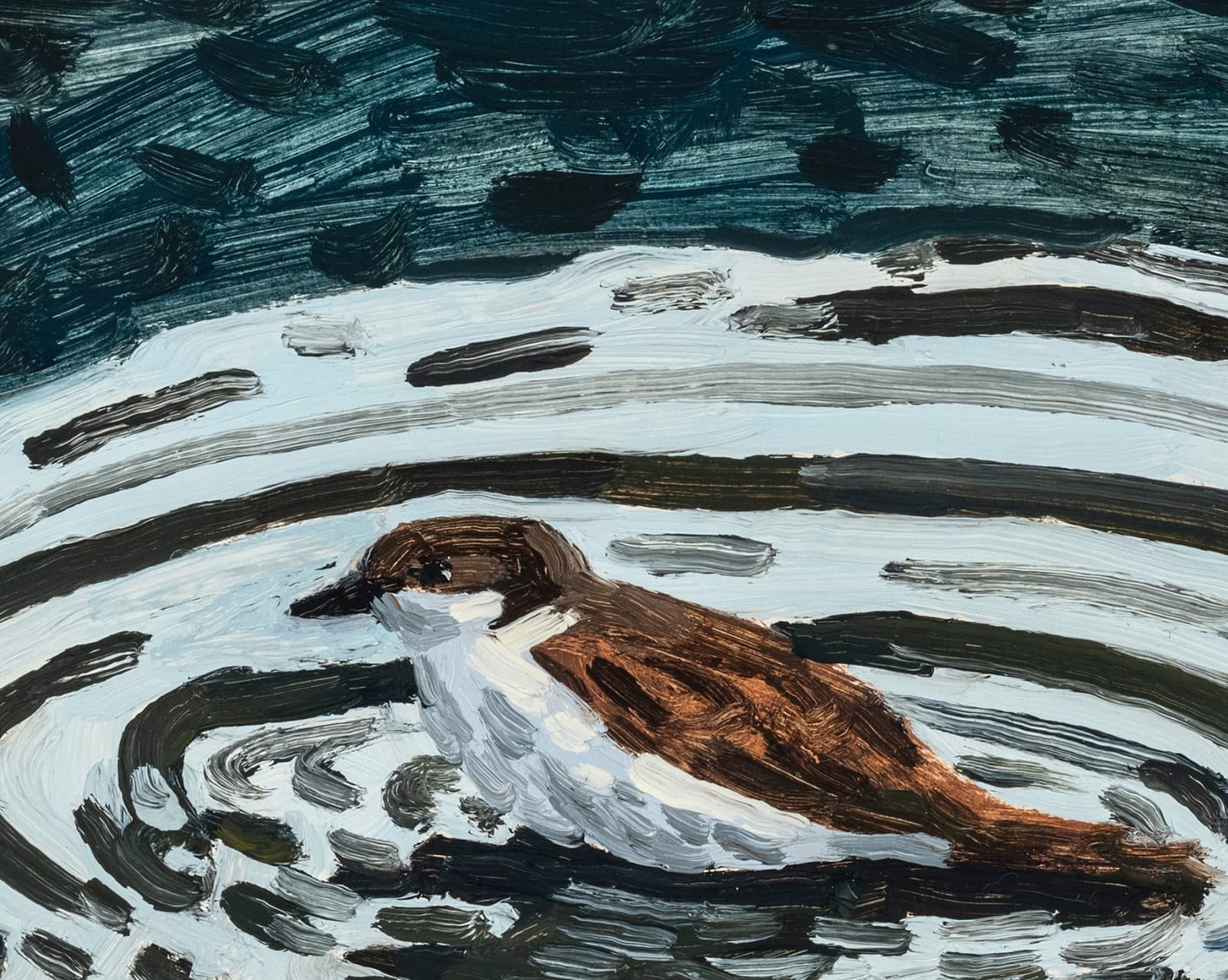 Claudia Keep, December 2nd, 11:16 AM, Bird Bath, 2024