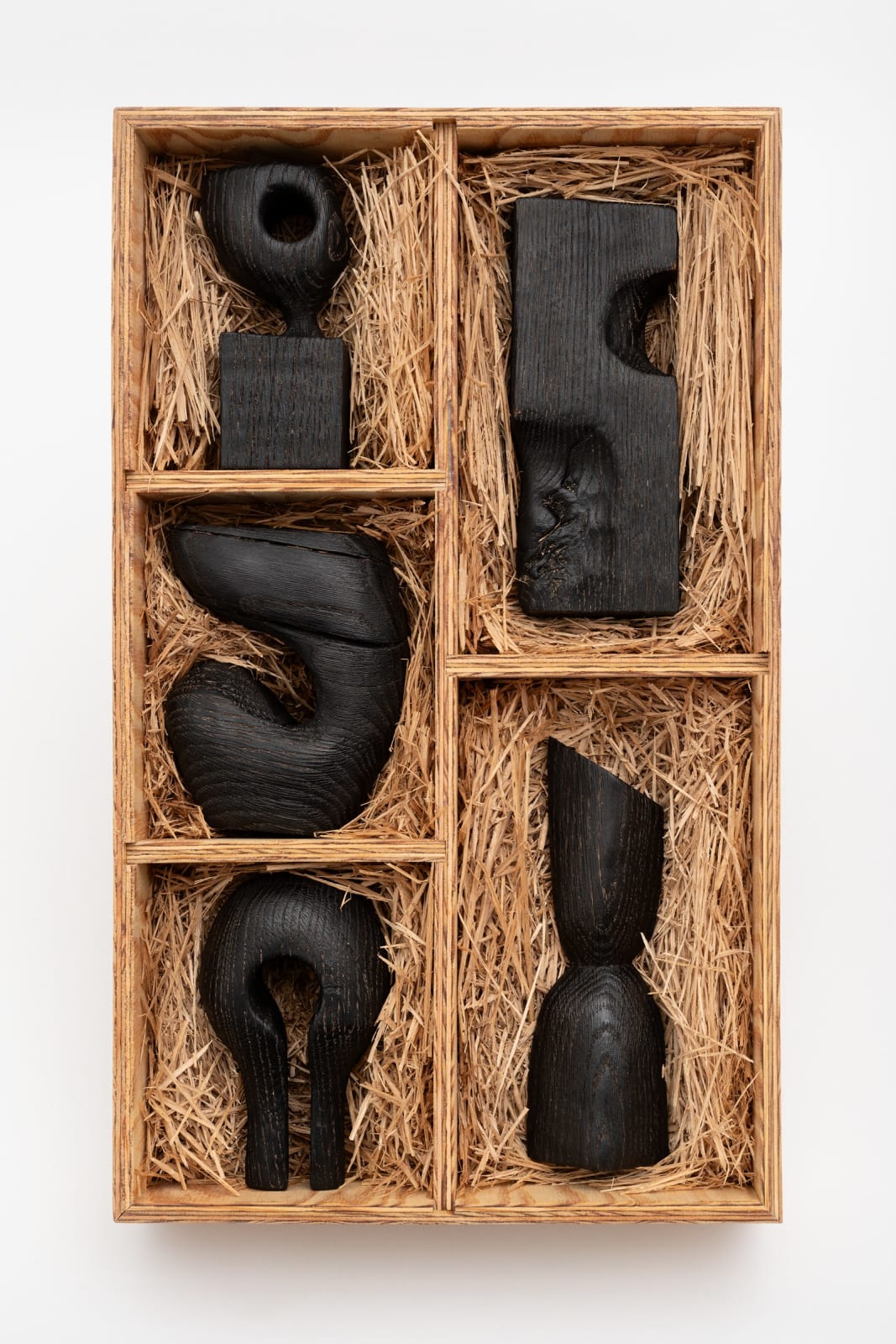 Patrick Kim-Gustafson, Chutes 001, 2024