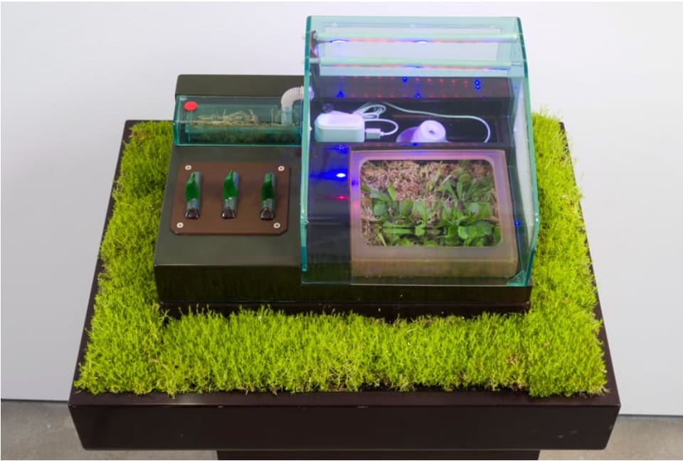 Carl Cheng, Supply & Demand, 1972