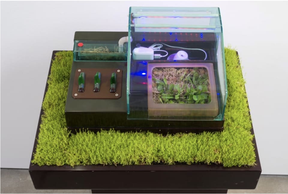 Carl Cheng, Supply & Demand, 1972