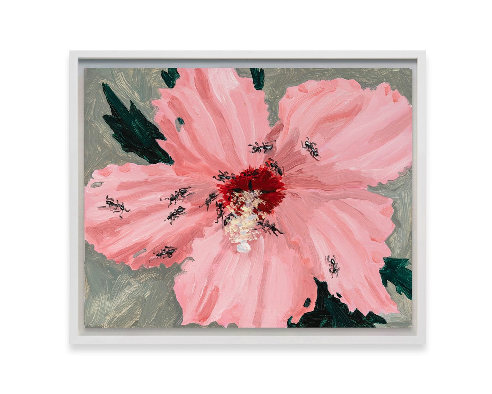 Claudia Keep, Brooklyn Hibiscus, 2024