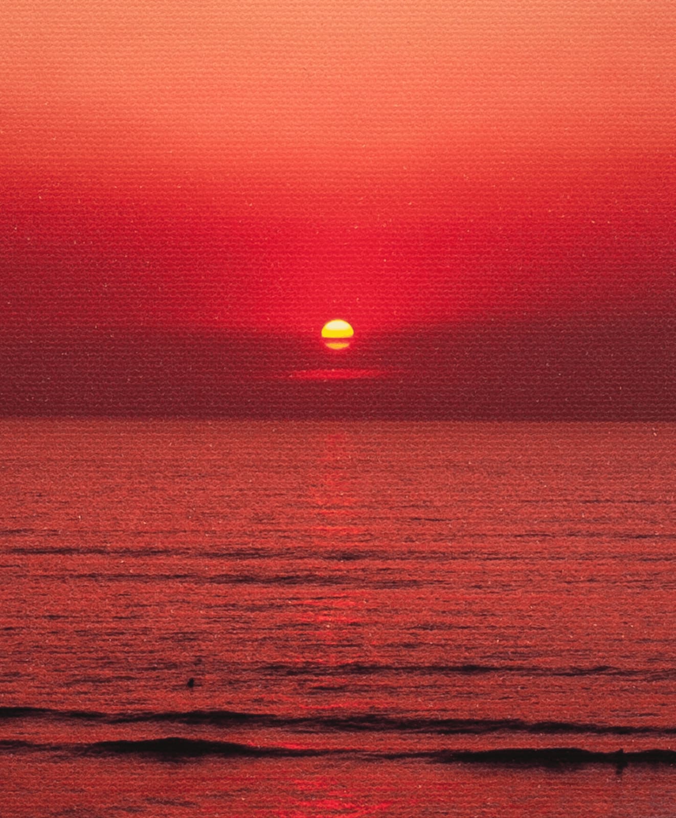Thomas Block Humery, San Onofre, 2023