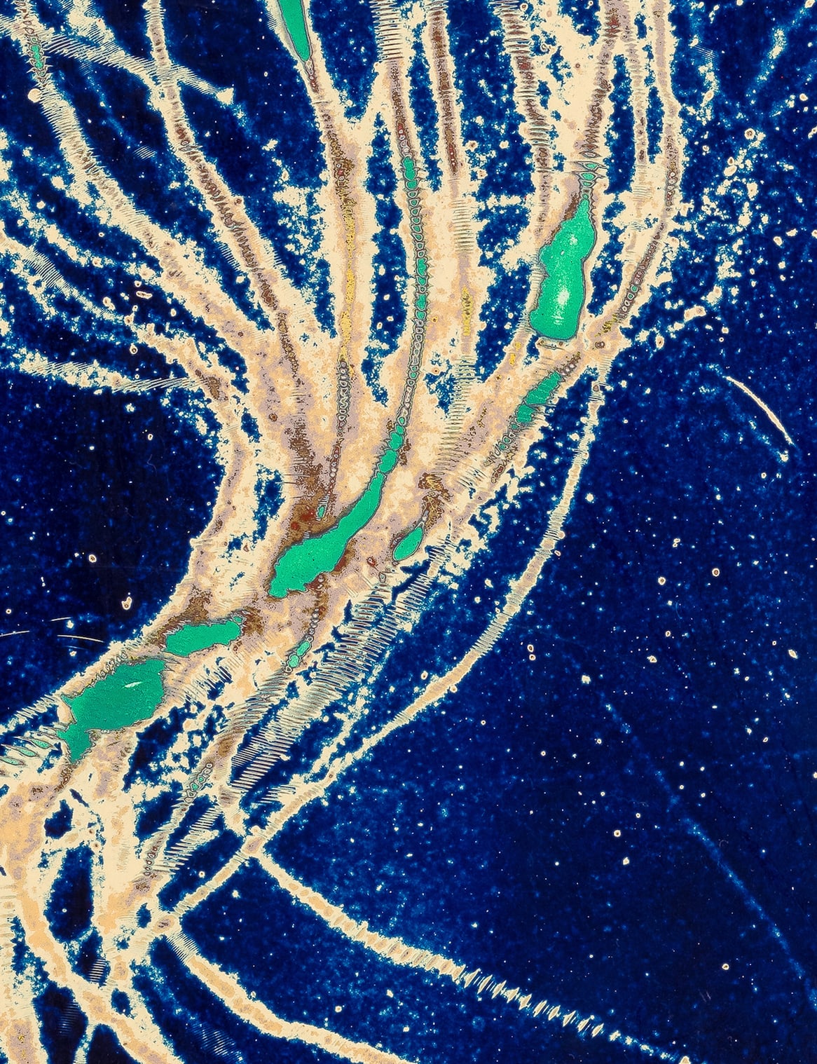 Dennis Miranda Zamorano, Una raíz afuera flota, 2024