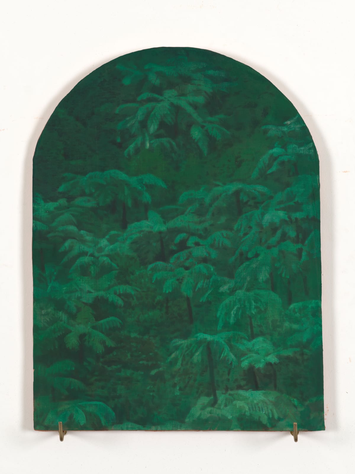 Xie Fan, Landscape · Alsophila Spinulosa, 2023