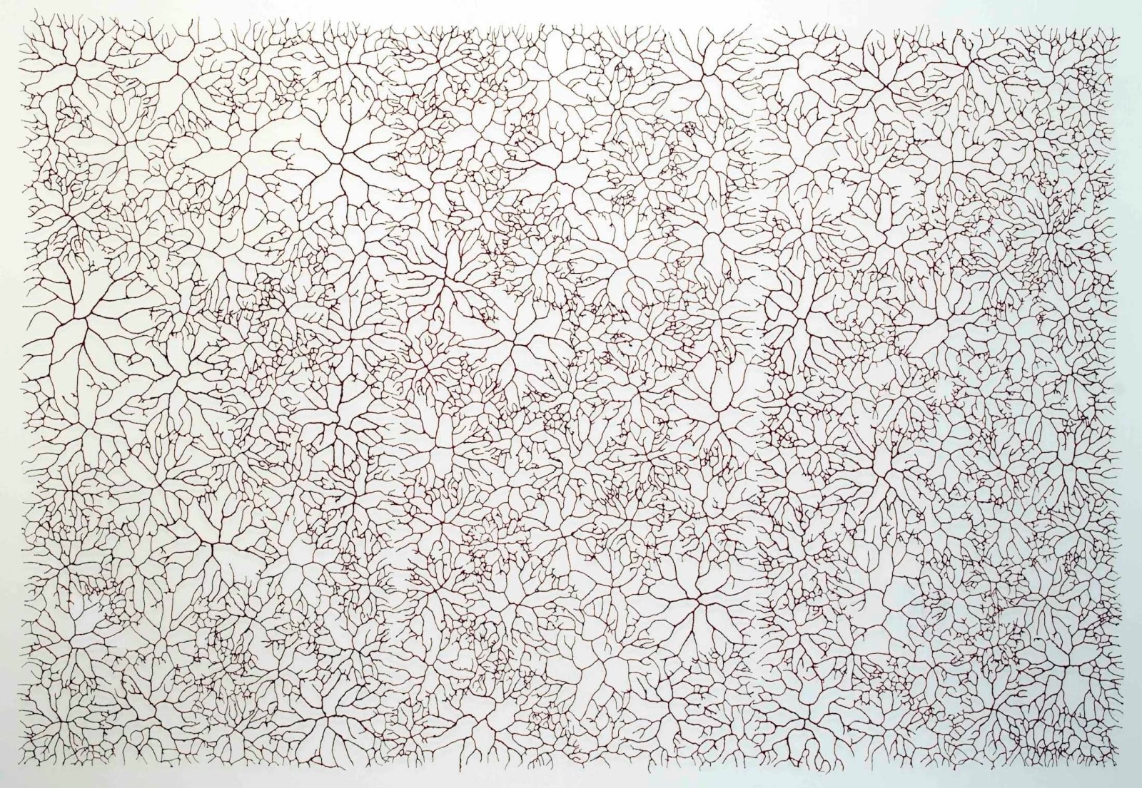 Gjertrud Hals, Insula, 2008