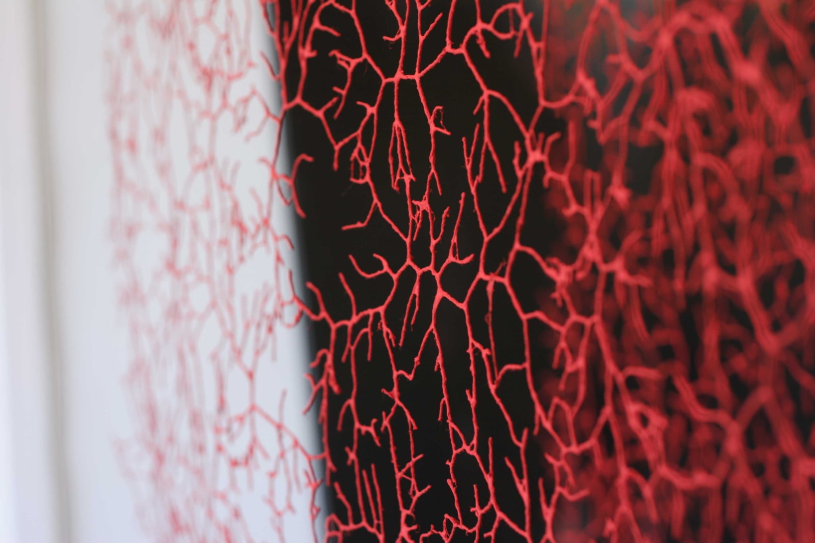 Gjertrud Hals, Insula, 2008