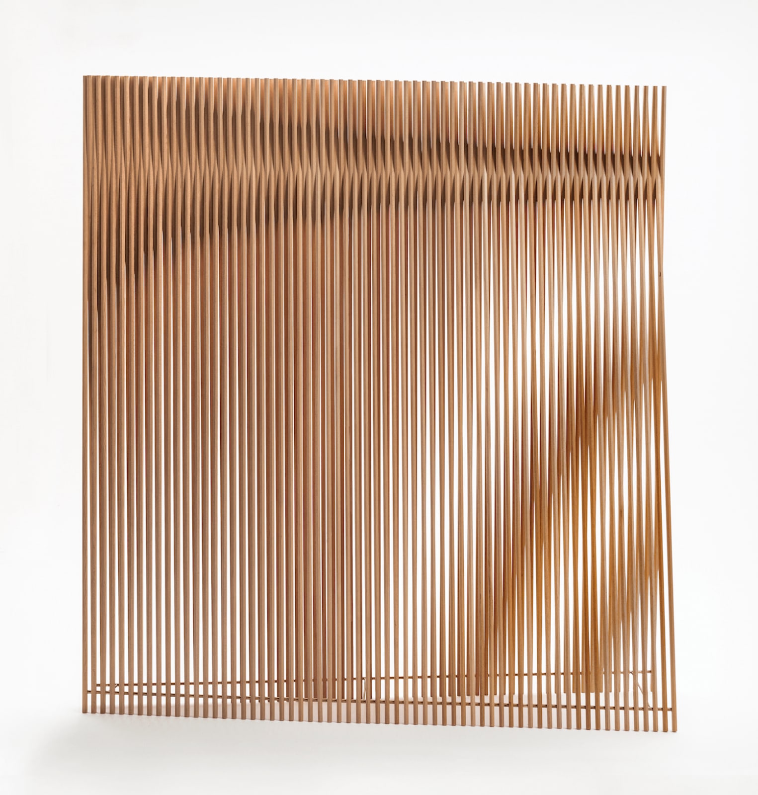 Akiko Kuwahata & Ken Winther, Shade, 2019