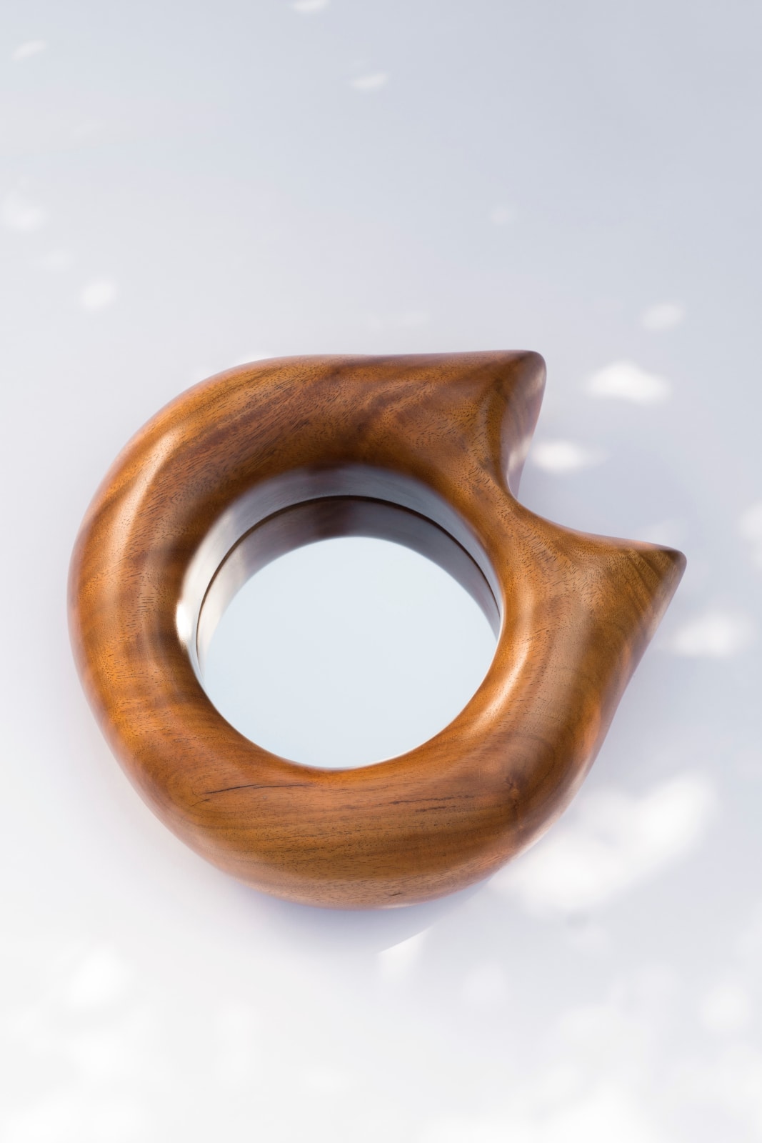 Estelle Yomeda, Miroir Bestiole, 2025