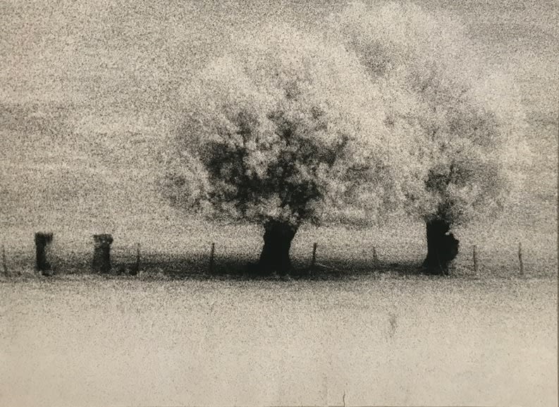 Alain Bachelard, Arbre, 1987
