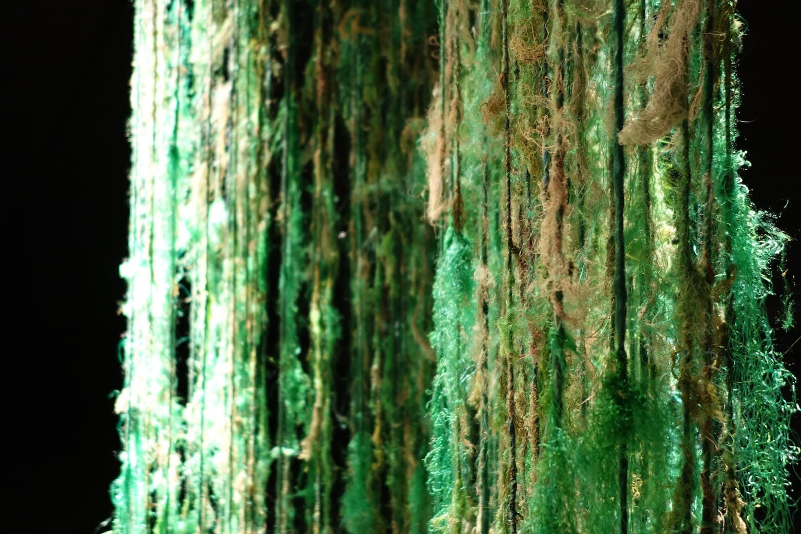 Gjertrud Hals, Usnea, 2010