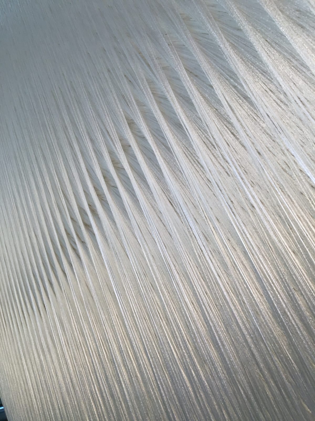 Cecilie Bendixen, Moon Disc Adular, 2019