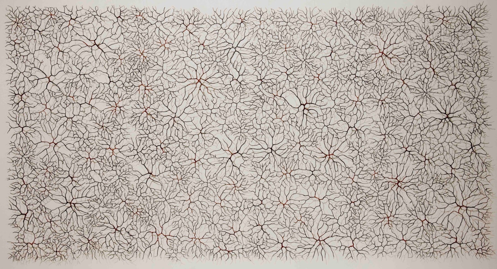 Gjertrud Hals, Vena Cuprum, 2018