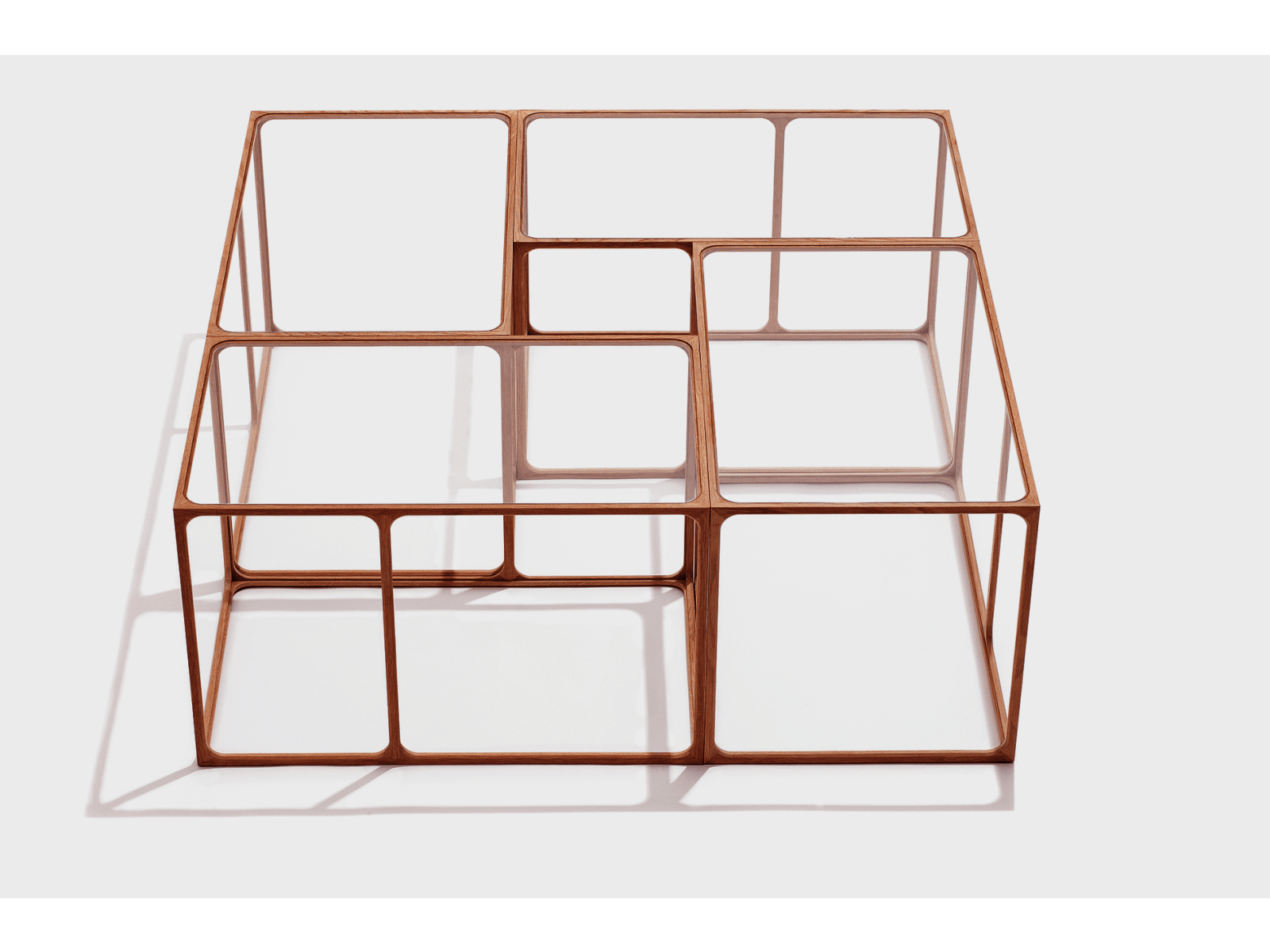 Rasmus Fenhann, Ratio, 2016