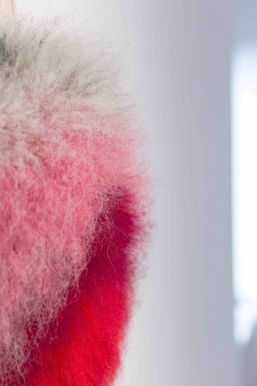 Signe Emdal, My Islandic Pony, 2019