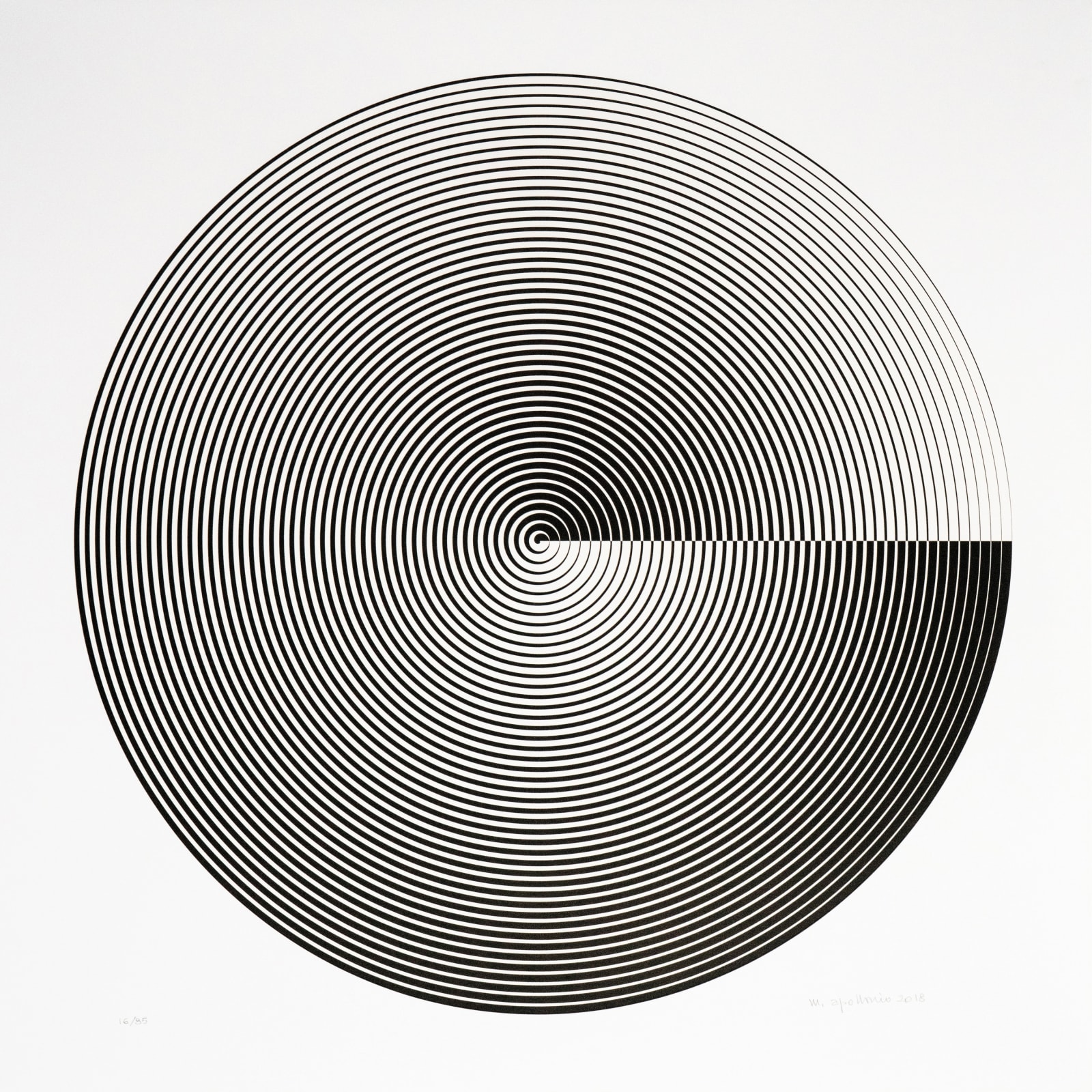 Marcello Morandini, Portafolio con Marina Apollonio, 2018