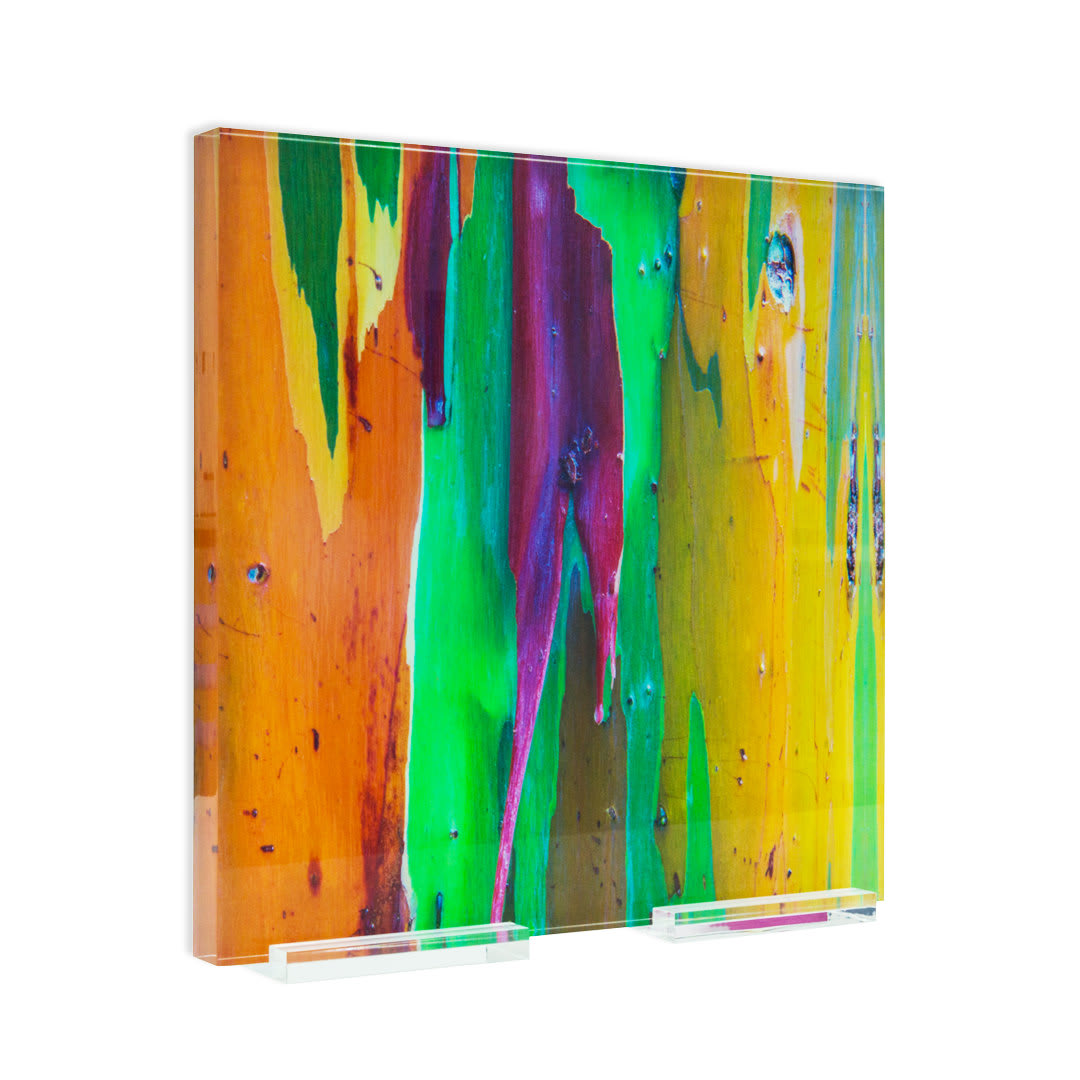 Damián Hernández, Corteza Arcoíris X