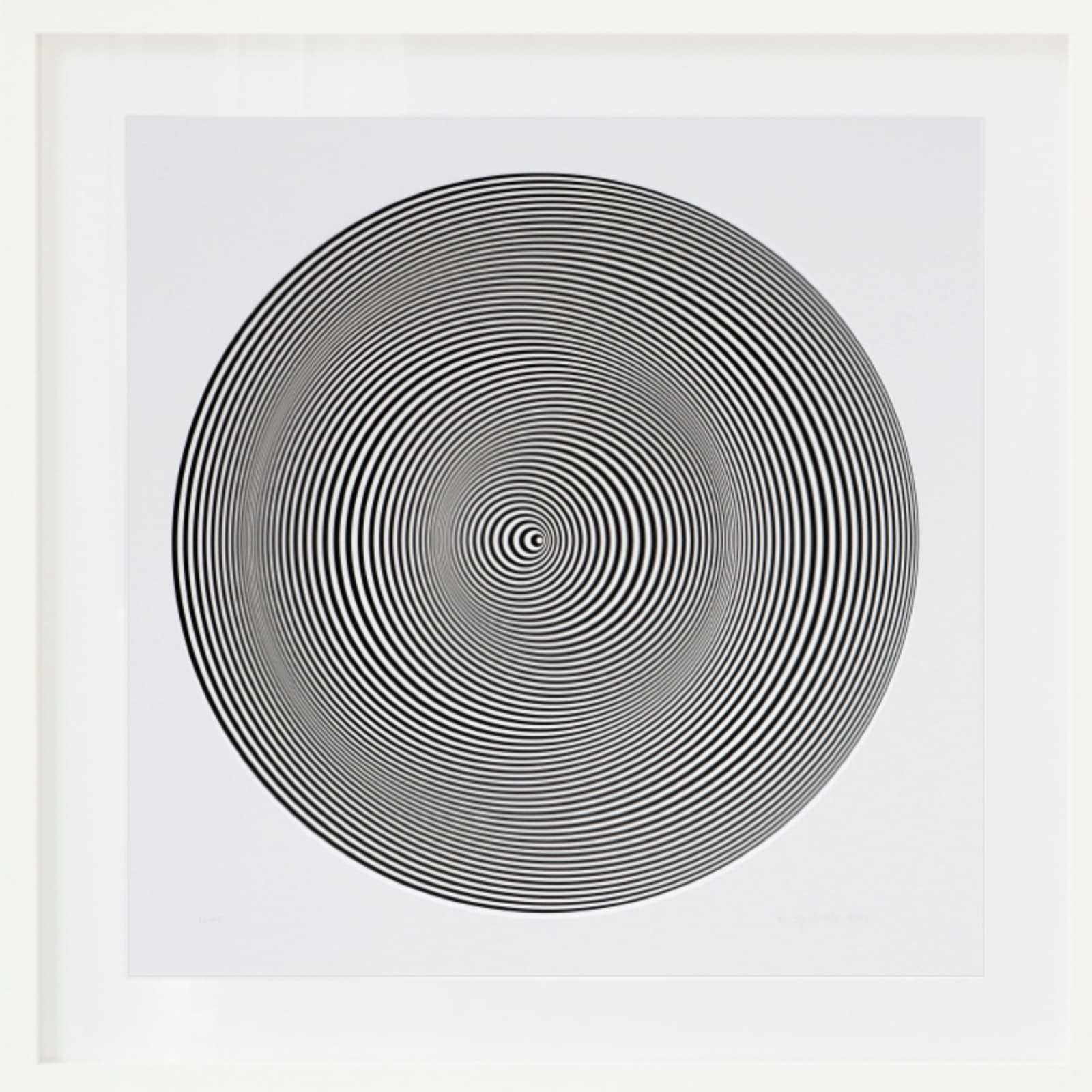 Marina Apollonio, Portafolio con Marcello Morandini, 2018