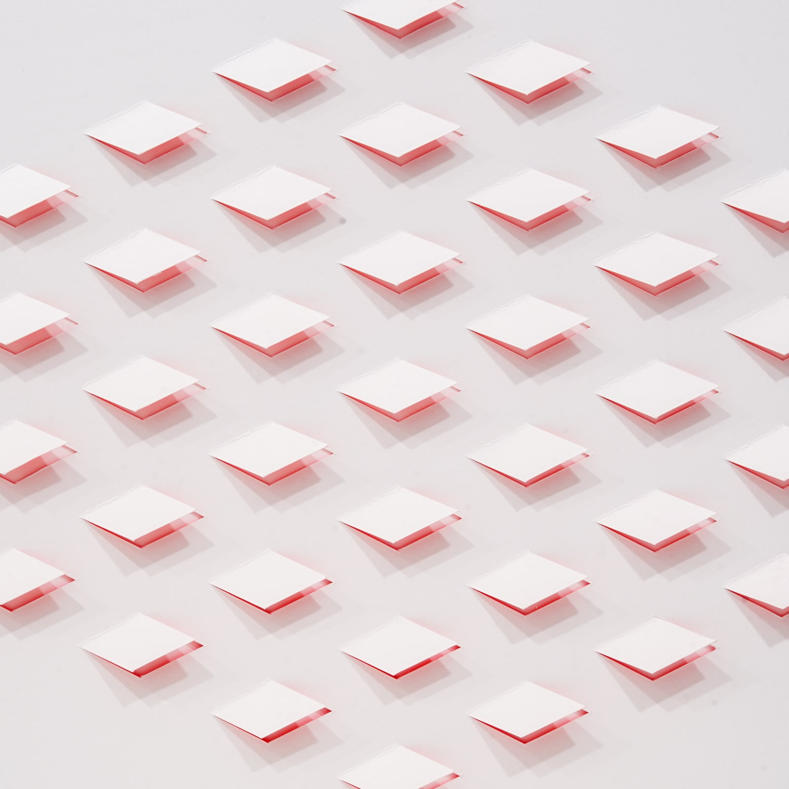Luis Tomasello, S/T 2 Rosa, 2013