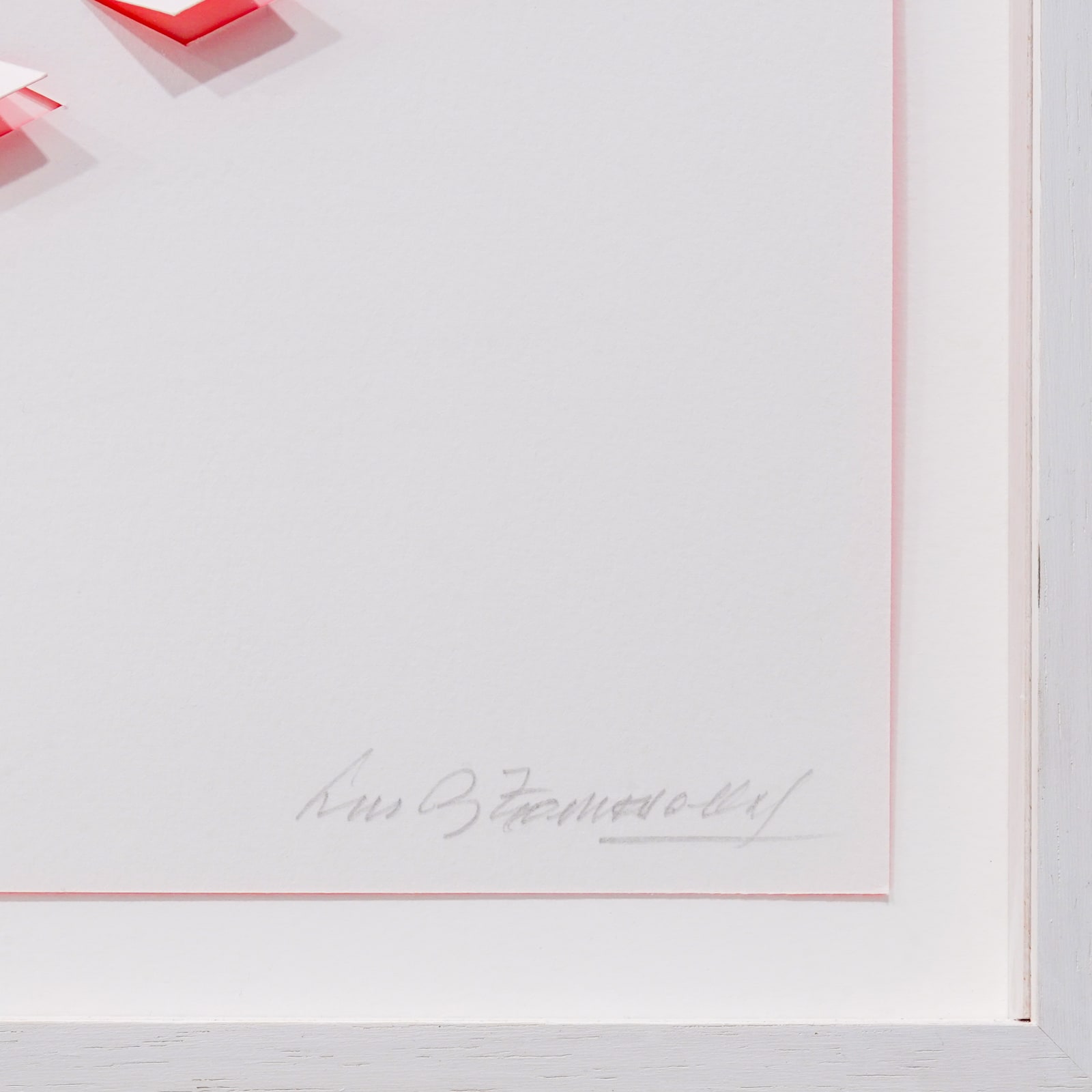 Luis Tomasello, S/T 2 Rosa, 2013
