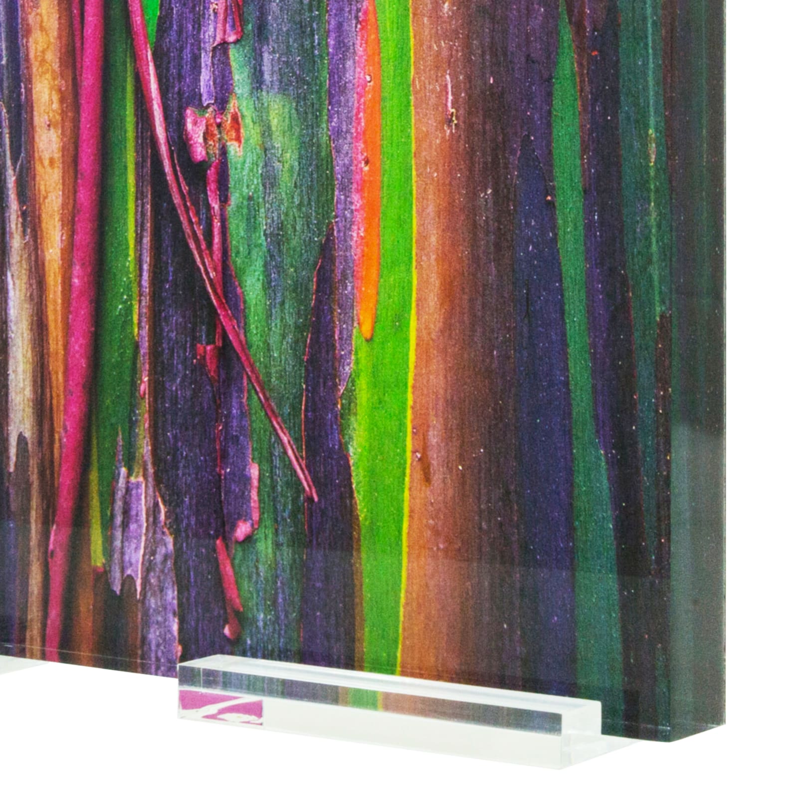 Damián Hernández, Corteza Arcoíris I