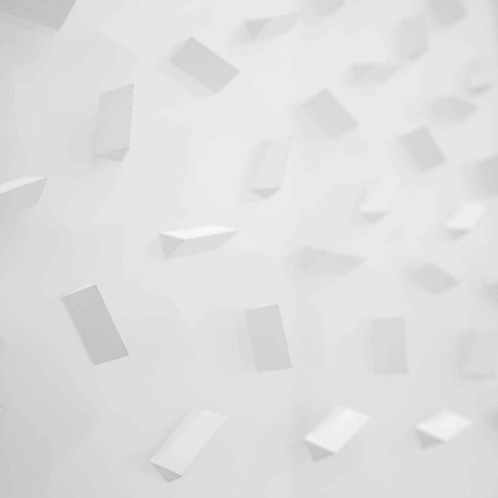 Klaus Staudt, WR (O) 334/989, 2005