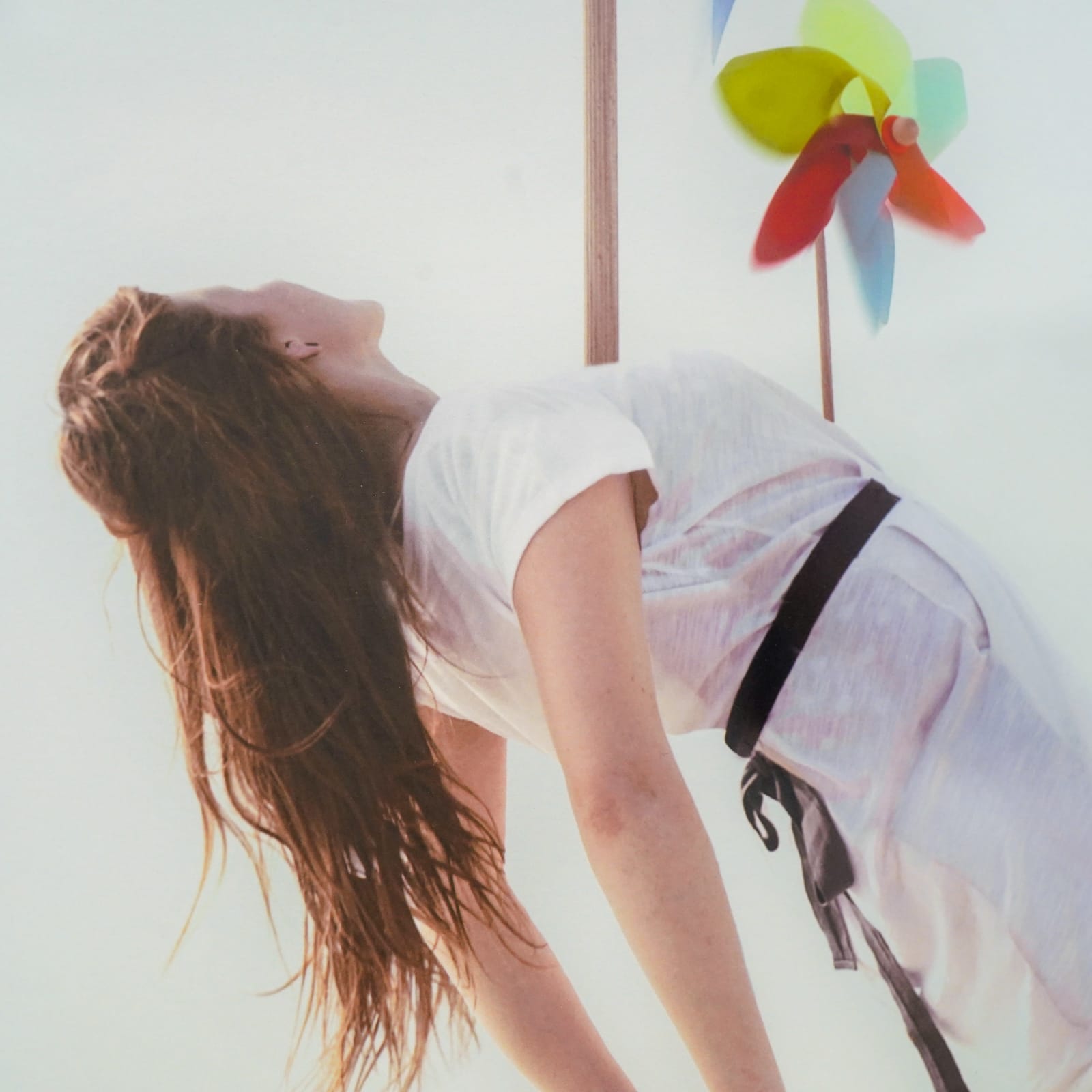 Maia Fiore, Sleep Elevations II, 2011