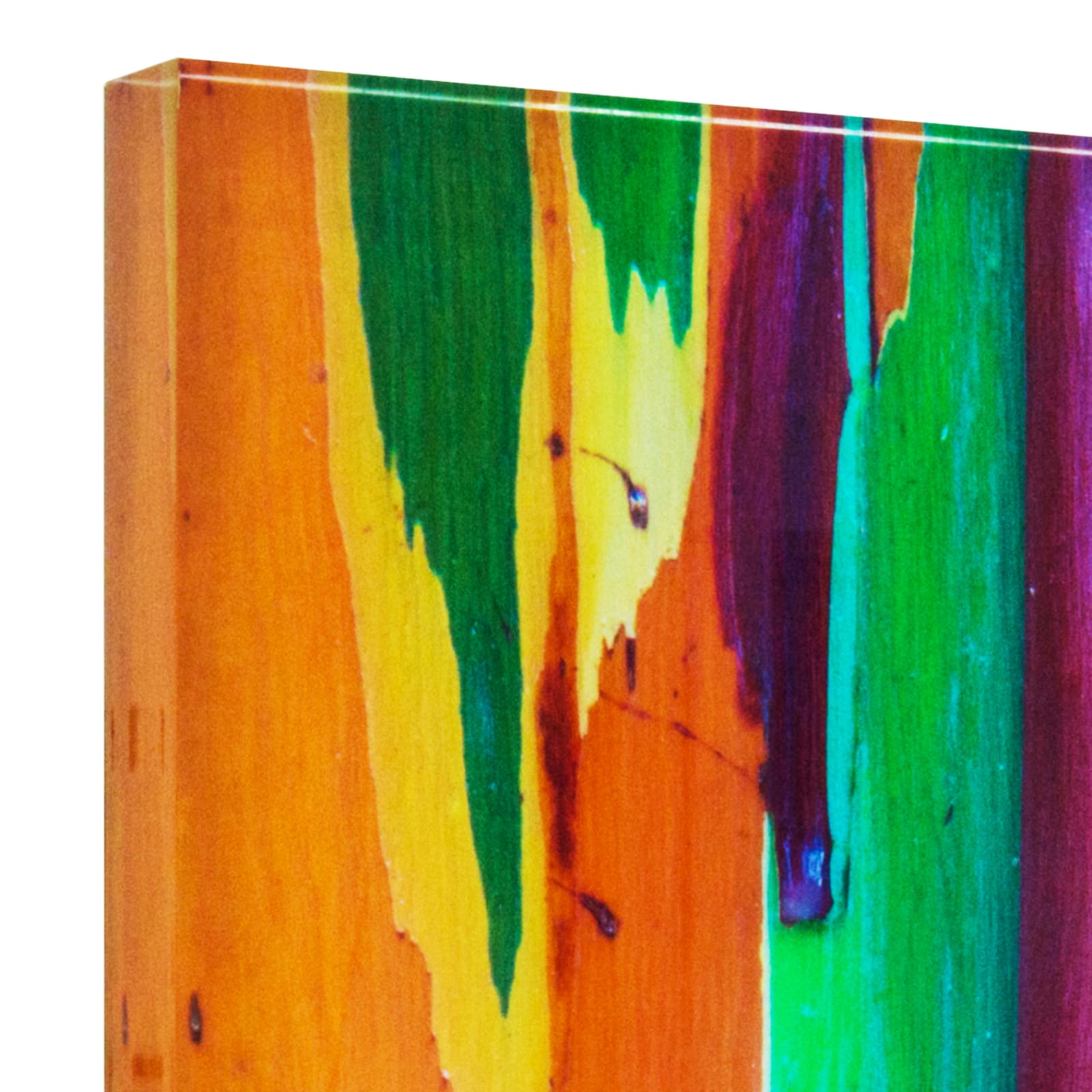 Damián Hernández, Corteza Arcoíris X