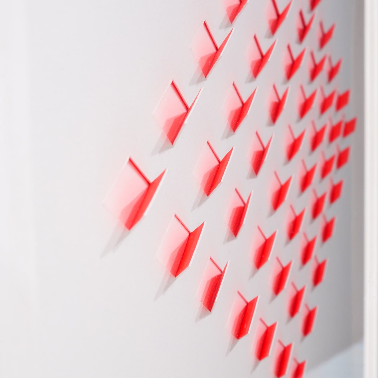 Luis Tomasello, S/T 2 Rosa, 2013