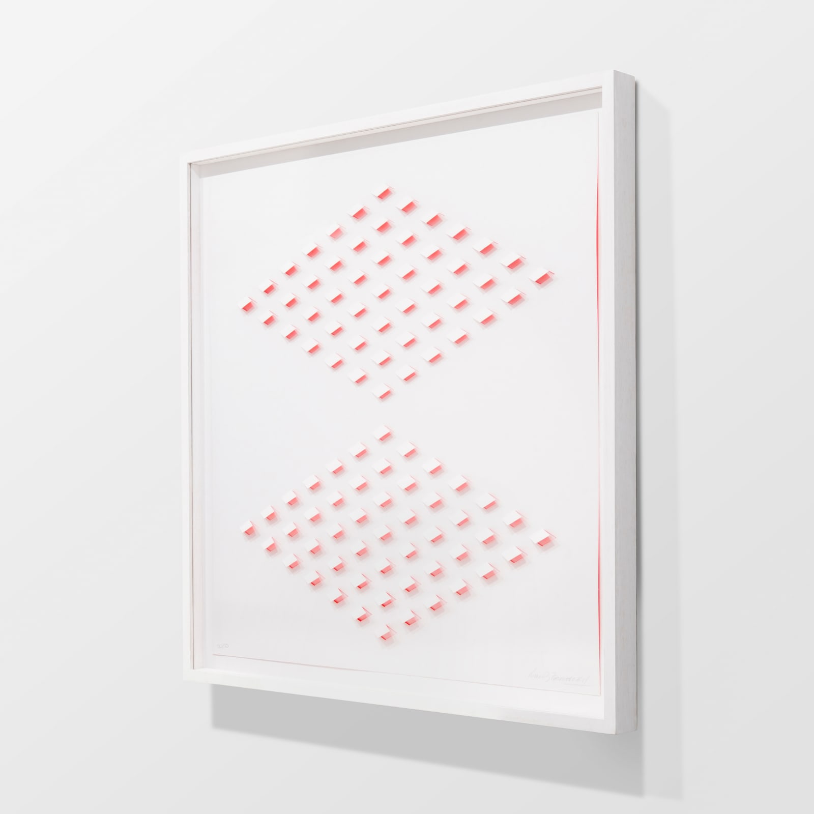 Luis Tomasello, S/T 2 Rosa, 2013