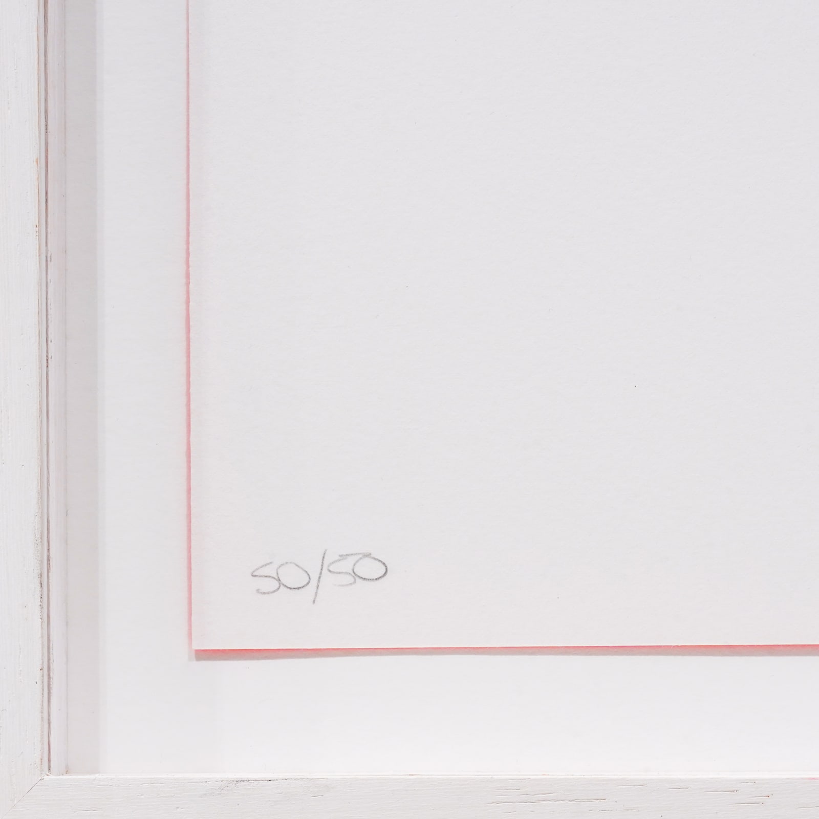 Luis Tomasello, S/T 2 Rosa, 2013