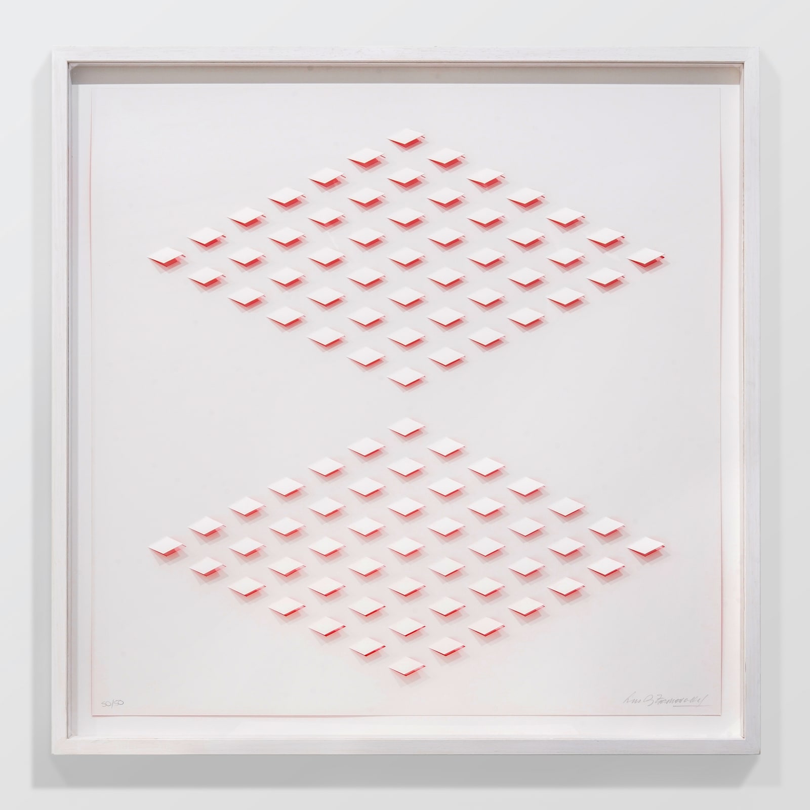 Luis Tomasello, S/T 2 Rosa, 2013
