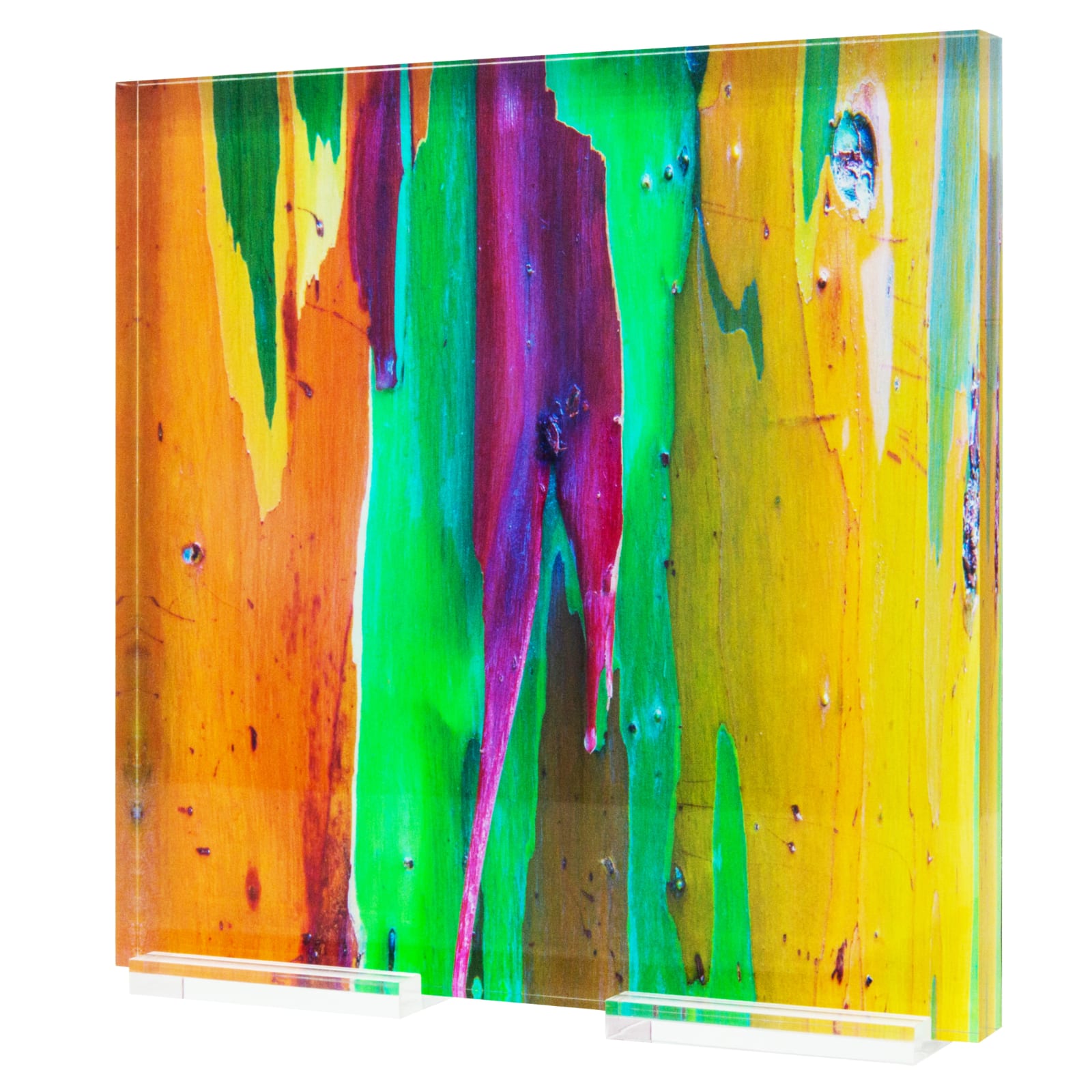 Damián Hernández, Corteza Arcoíris X