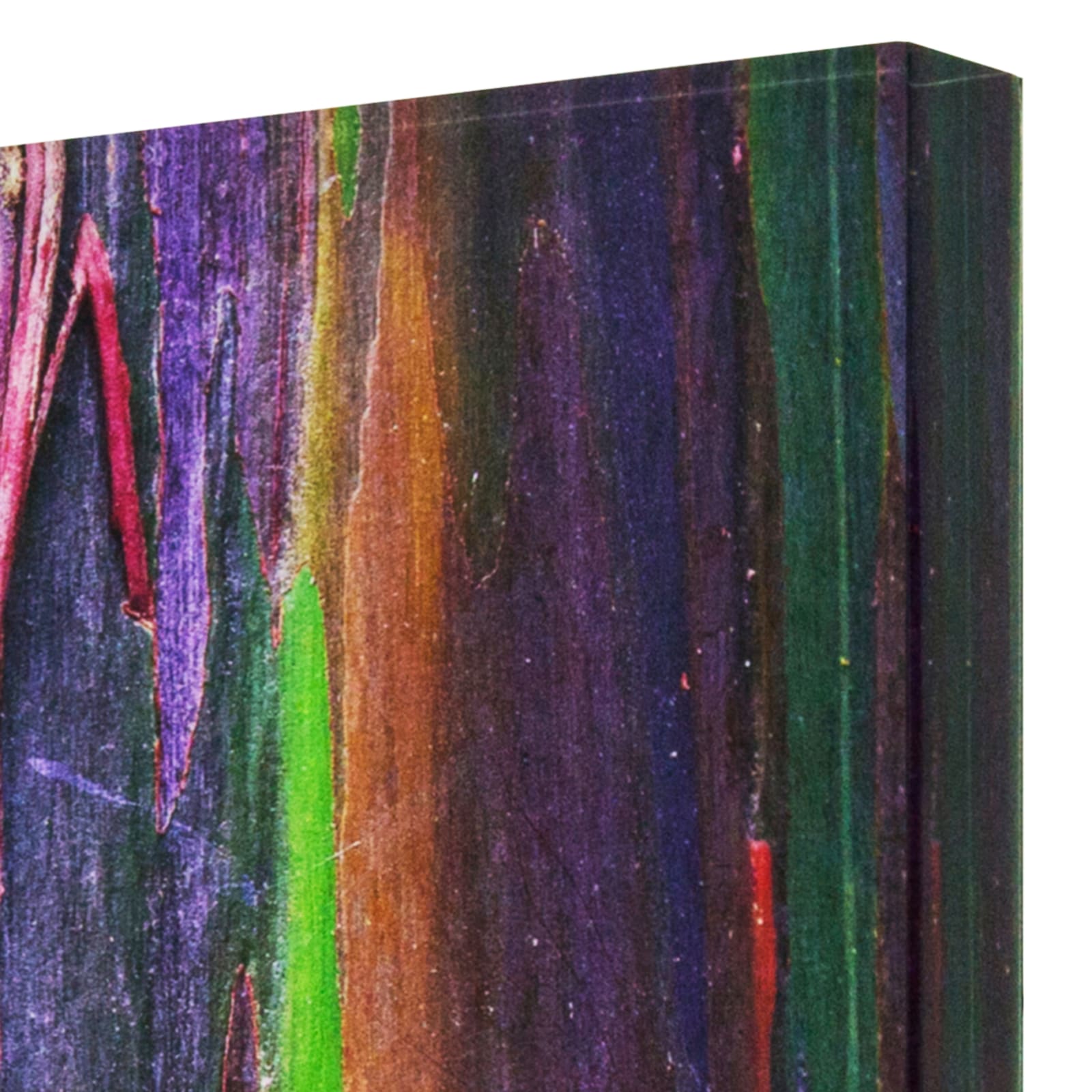 Damián Hernández, Corteza Arcoíris I