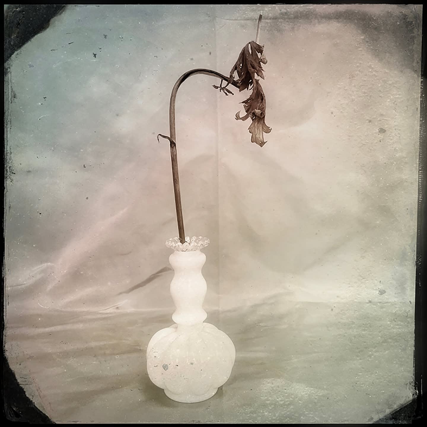 Deborah Dancy, Without 2, 2022