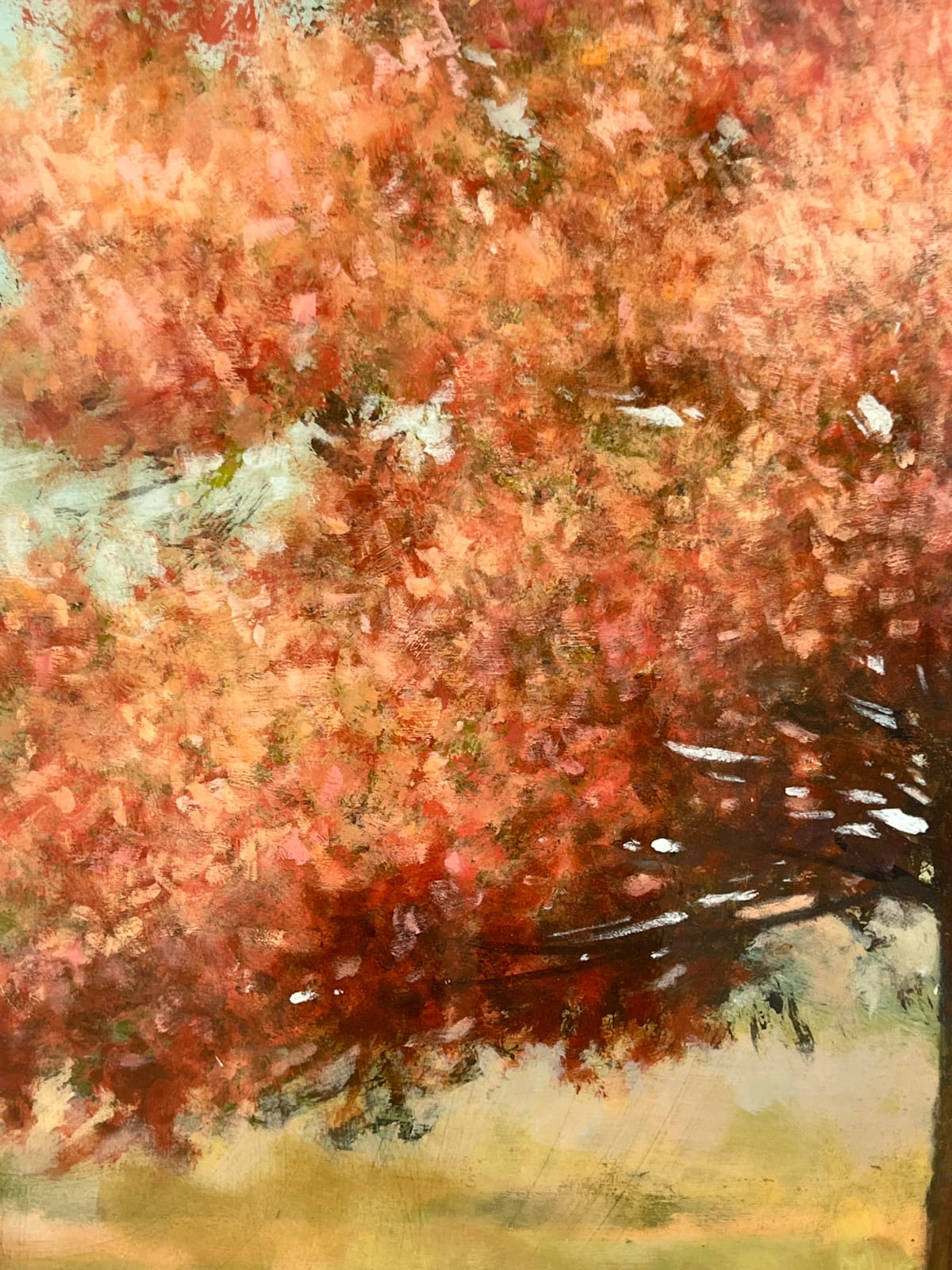 Peter Hoffer, April Bloom, 2025