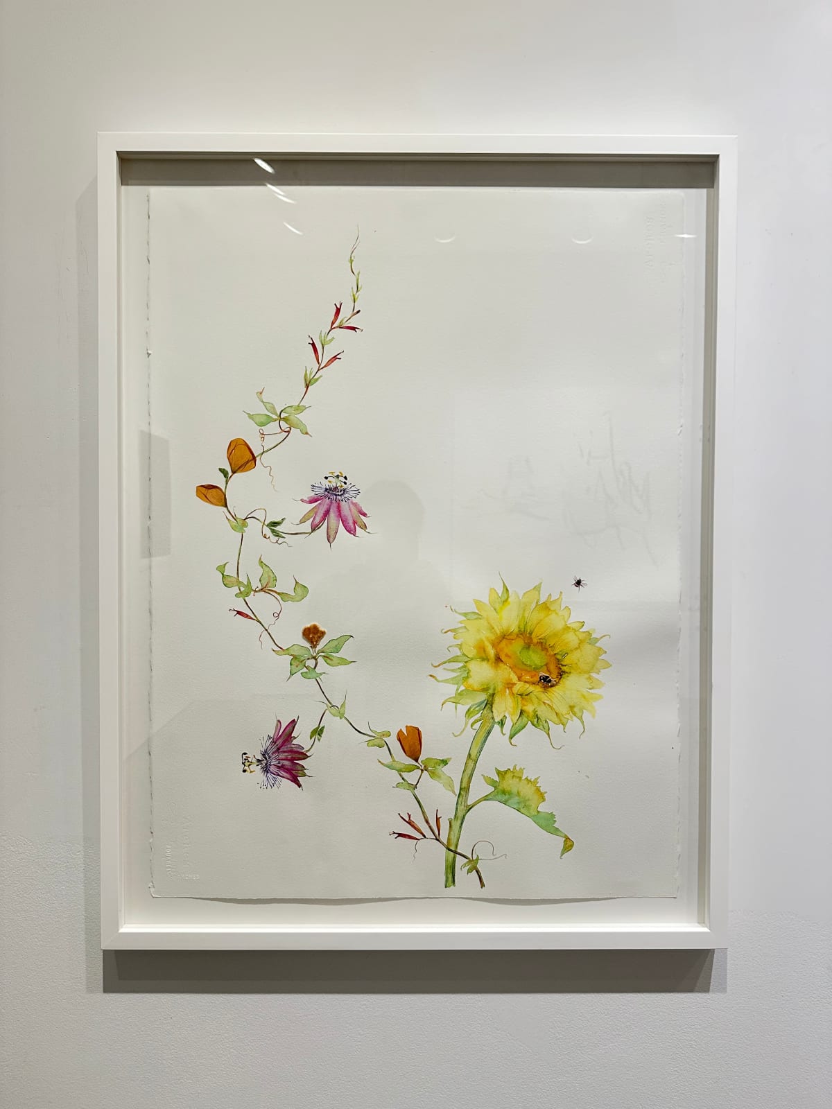 Marilla Palmer, Facing the Sun, 2023